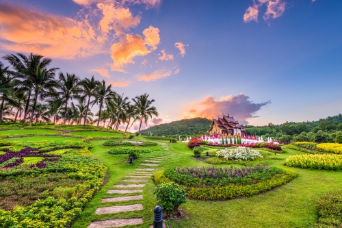 500 x 333 Doi Inthanon Chiang Mai