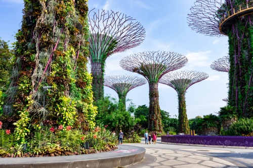 500 x 333 Gardens by the Bay Singapore