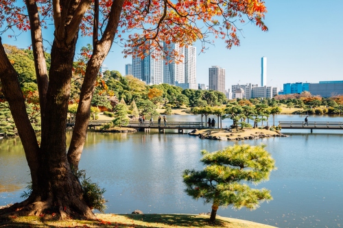 500 x 333 Hamarikyu Gardens Tokyo