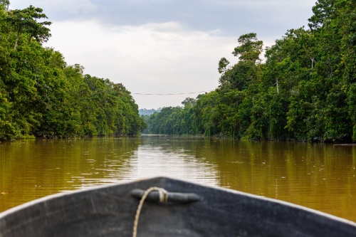 500 x 333 Kinabatangan River Borneo 1