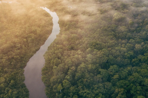 500 x 333 Mist over Kinabatangan River Borneo