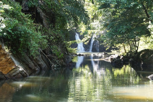 500 x 333 River Tabin Borneo