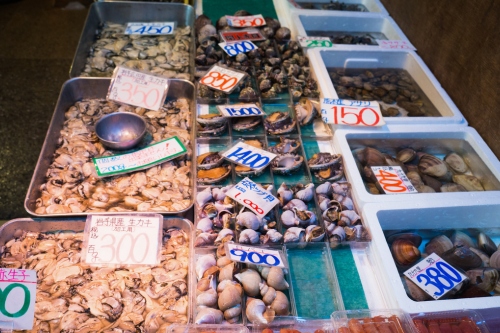 500 x 333 Tsukiji market Tokyo