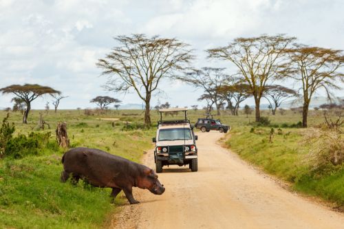 Amakhala Game Reserve 2