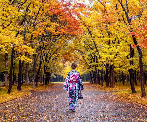 Autumn in Kanazawa Japan