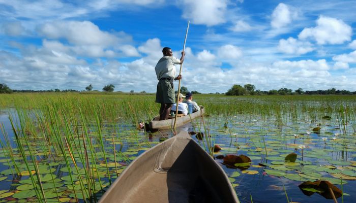 Boat safari