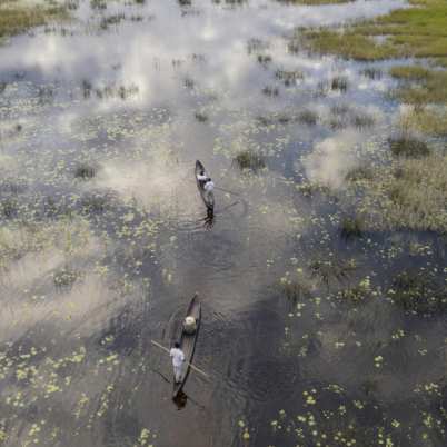 Botswana Okavango 4