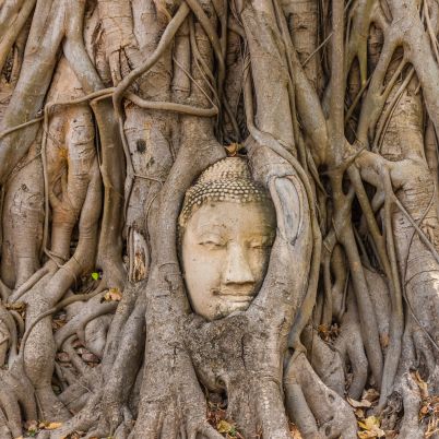 Buddha face in tree, Ayutthaya, Thailand