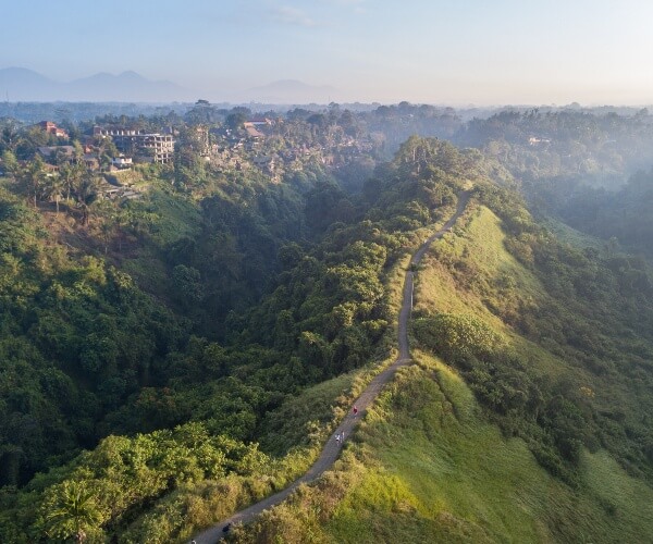 Campuhan Ridge Walk Ubud