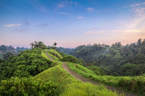 Campuhan Ridge Walk Ubud