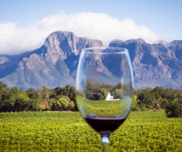 Cape Winelands whentogo 1