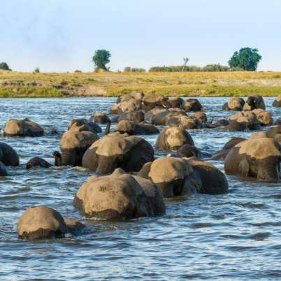 Chobe Botswana3