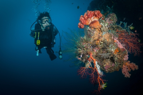 Diving off Tulamben Bali