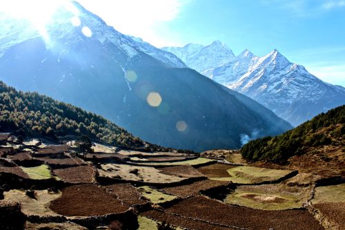 Everest region fields