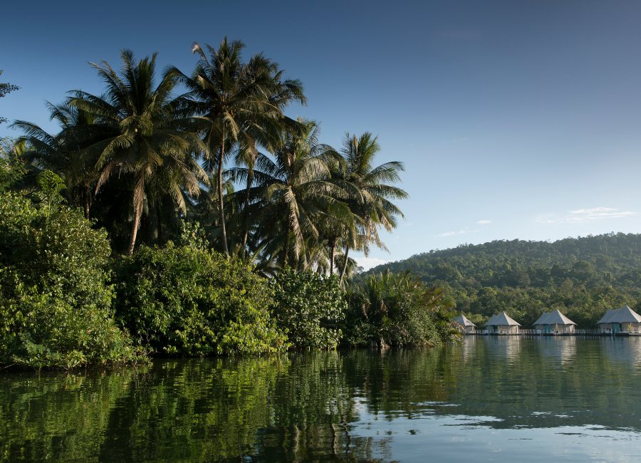 Explore wild Cambodia