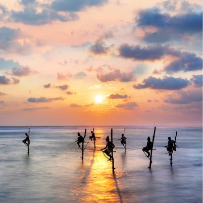 Fishing, Galle, Sri Lanka