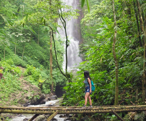 Forest walk in Munduk Bali