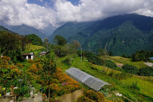 Ghandruk farm