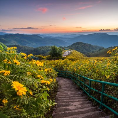 Hiking Paths, Chiang Mai, Thailand