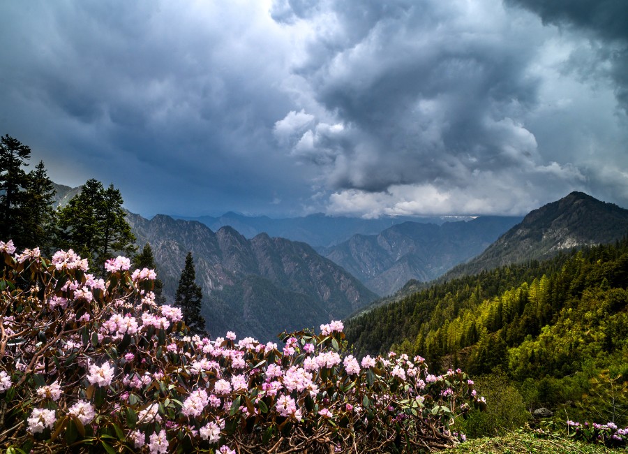 India Himalayas (2)