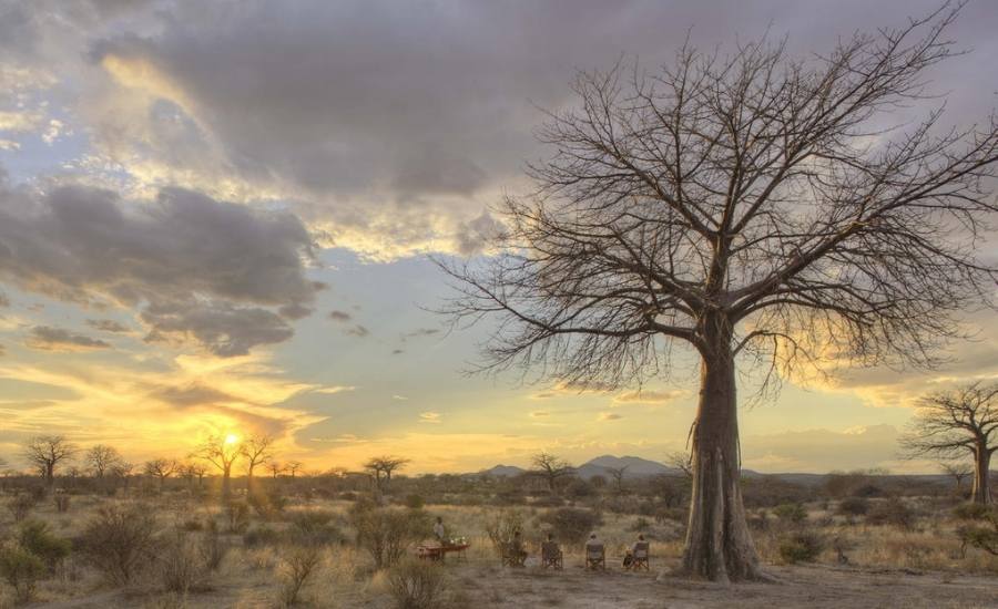 Jabali Ridge Ruaha 1