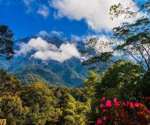 Kinabalu National Park Sabah