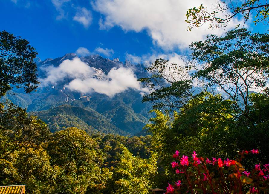 Kinabalu National Park Sabah