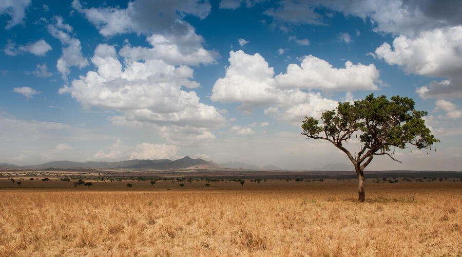 Kipedo NP Uganda