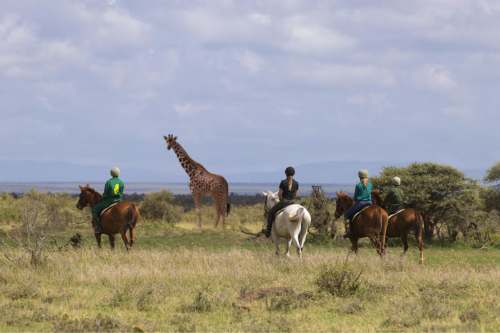 Lodo springs laikipia