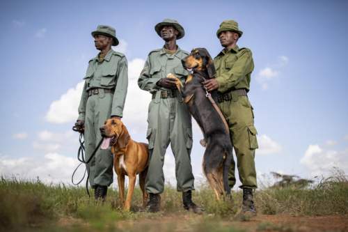 Lodo springs laikipia2