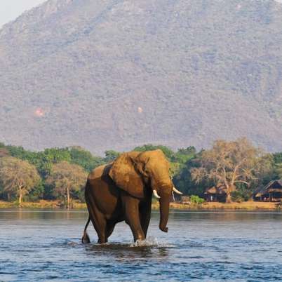 Lower Zambezi Chiawa