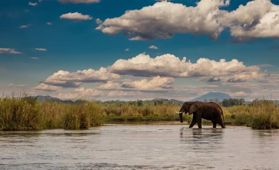 Lower Zambezi National Park