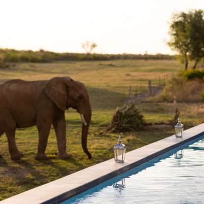 Madikwe5