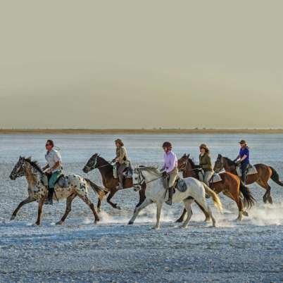 Makgadikgadi Pans National Park2