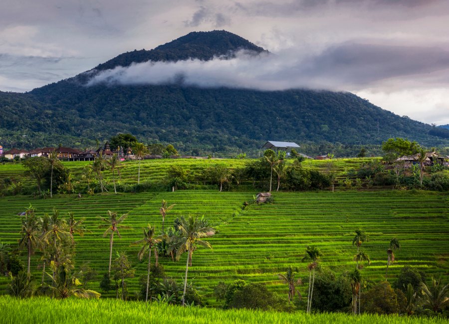 Mount Batukaru Bali 3 1