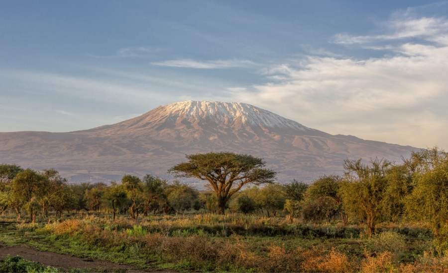 Mt Kilimanjaro