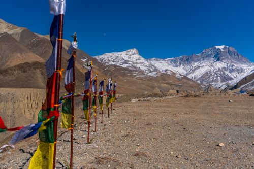 Mustang prayer flags