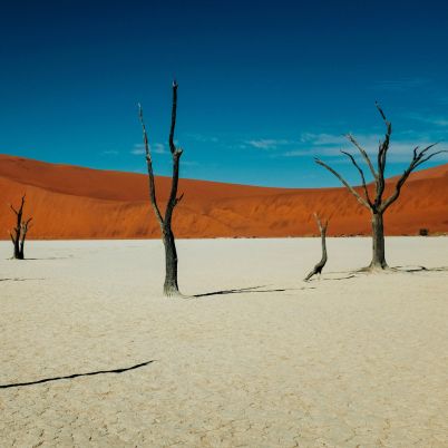 Namibia 402x402