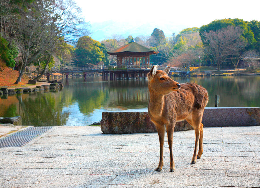 Nara