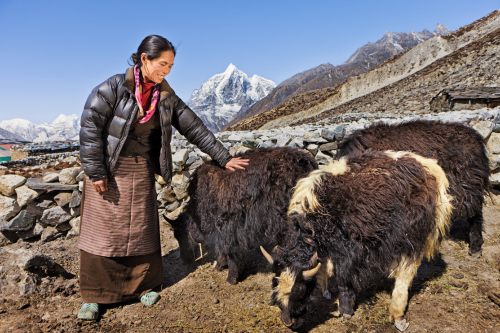 Nepal Himalaya village