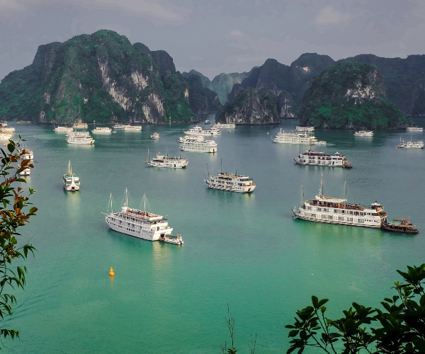 Overview of Halong Bay busy with boats