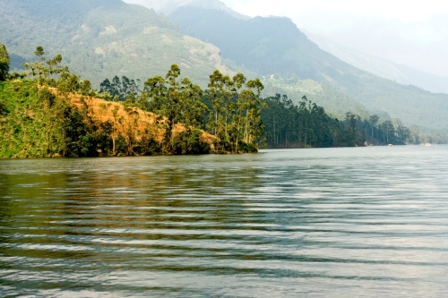 Periyar river