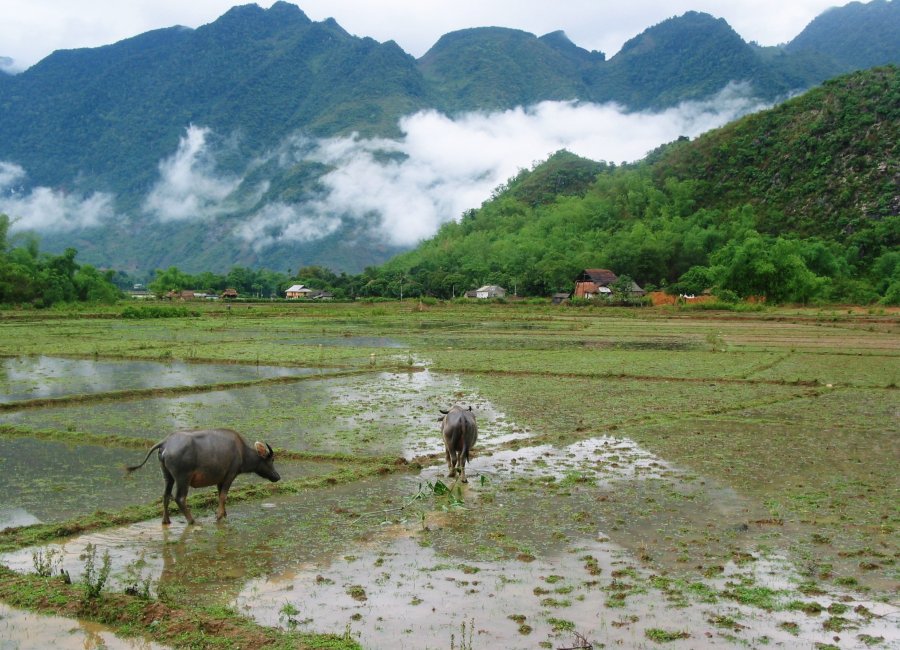 Pu Luong