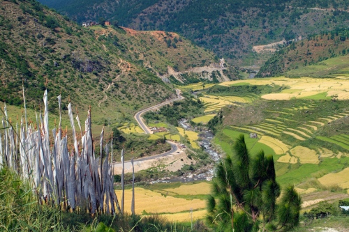 Punakha road