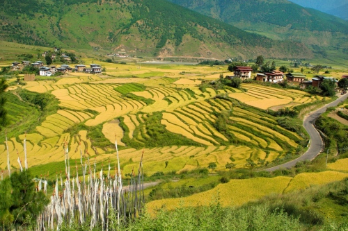 Punakha village