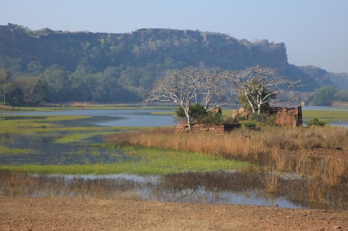 Ranthambore Fort