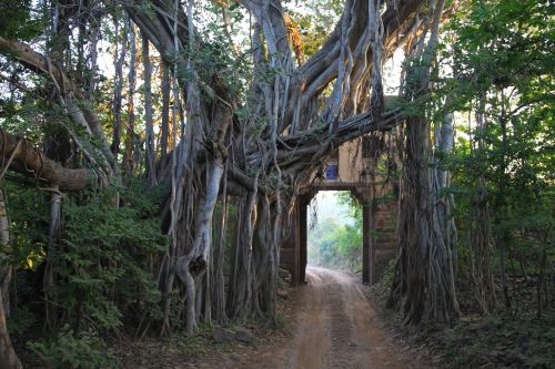 Ranthambore National Park