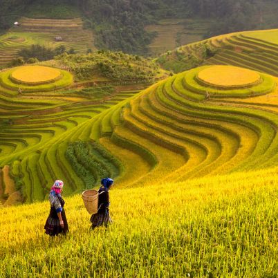 Rice Fields, Ha Giang, Vietnam