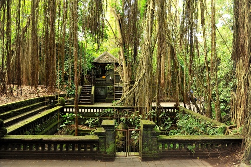 Sacred Monkey Forest Ubud 2