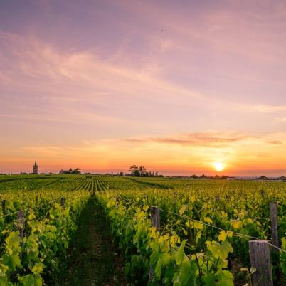 Saint Emilion (3)